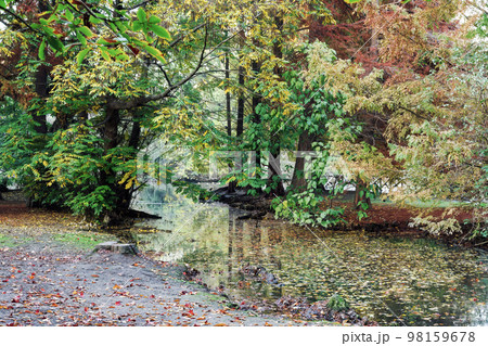 An artificial pond surrounded by trees during fall at Sempione city park in Milan, Italy. 98159678