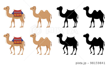 フタコブラクダのイラスト素材セット 98159841