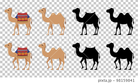 フタコブラクダのイラスト素材セット 98159841