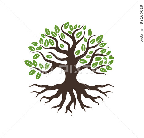 Tree and Roots Vector Illustration Icon Tree and Roots Vector Illustration Icon 98160019