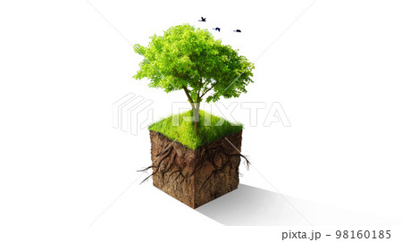 Tree, graphic and green sustainability for eco friendly, nature or care for earth environment. Trees, climate change or sustainable development of planet, recycle or soil by isolated white background Tree, graphic and green sustainability for eco friendly, nature or care for earth environment. Trees, climate change or sustainable development of planet, recycle or soil by isolated white background 98160185