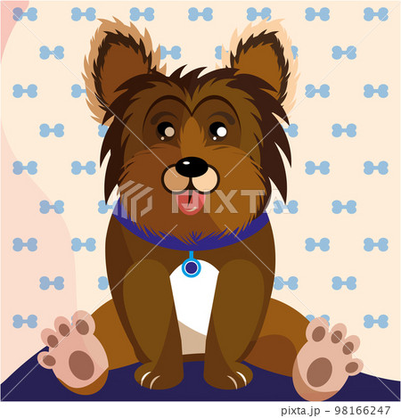 Isolated cute hairy dog cartoon character Vector 98166247