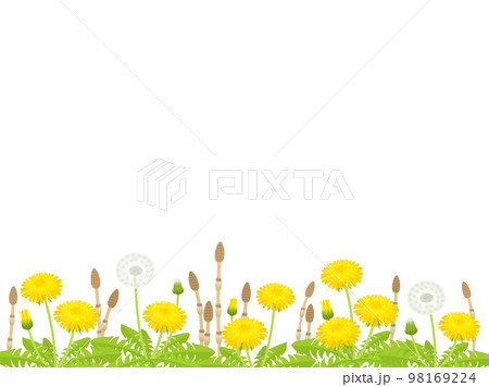 たんぽぽとつくしのフレーム たんぽぽとつくしのフレーム 98169224