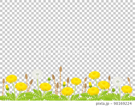 たんぽぽとつくしのフレーム たんぽぽとつくしのフレーム 98169224