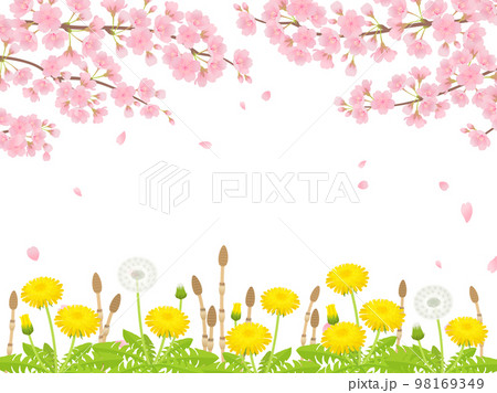 満開の桜・たんぽぽ・つくしの背景フレーム 98169349
