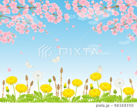 満開の桜・たんぽぽ・つくしの春の風景_背景 98169350