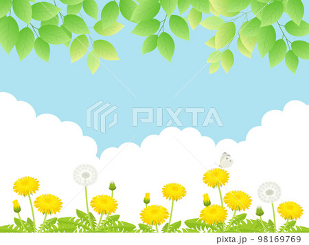 新緑とたんぽぽと青空_風景_背景 新緑とたんぽぽと青空_風景_背景 98169769