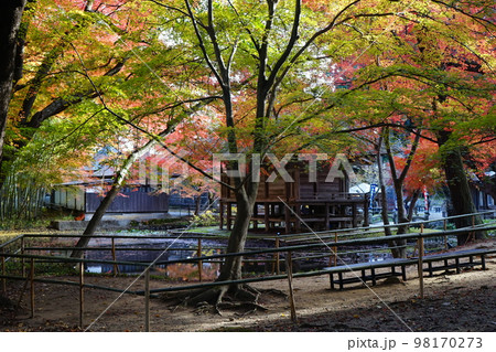 世界遺産中尊寺 弁財天堂 98170273