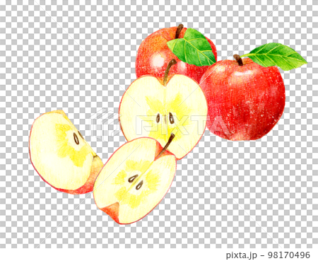 A set of red apples and cut apples Fruit hand-painted watercolor illustration material 98170496