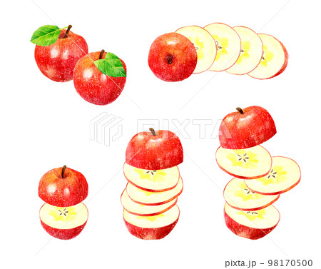 輪切り・スライスした赤いりんごのセット フルーツの手描き水彩イラスト素材集 輪切り・スライスした赤いりんごのセット フルーツの手描き水彩イラスト素材集 98170500
