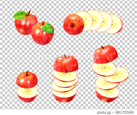 輪切り・スライスした赤いりんごのセット フルーツの手描き水彩イラスト素材集 輪切り・スライスした赤いりんごのセット フルーツの手描き水彩イラスト素材集 98170500
