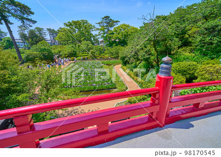 神奈川県小田原市の小田原城址公園の常盤木橋から南側の本丸東堀 花菖蒲園を見る 神奈川県小田原市の小田原城址公園の常盤木橋から南側の本丸東堀 花菖蒲園を見る 98170545