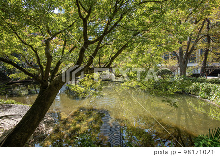 清水谷公園 東京都千代田区紀尾井町 夏 清水谷公園 東京都千代田区紀尾井町 夏 98171021