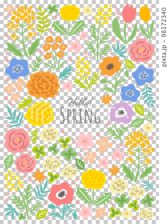 Spring flower illustration set Spring flower illustration set 98172340
