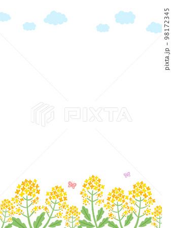 菜の花と空の背景イラスト 菜の花と空の背景イラスト 98172345