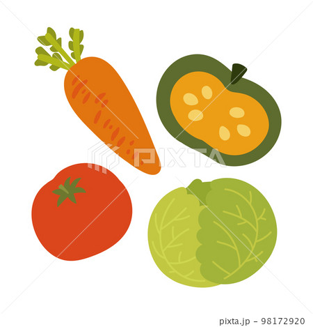 トマトと人参とかぼちゃとキャベツの野菜イメージイラストのイラスト