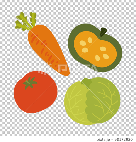 トマトと人参とかぼちゃとキャベツの野菜イメージイラストのイラスト