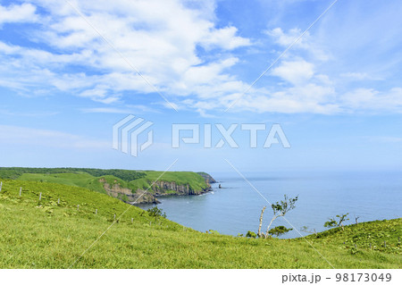 北海道　厚岸 あやめと馬と海と 98173049