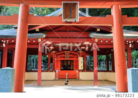 箱根神社境内の九頭龍神社新宮　神奈川県箱根町 98173223