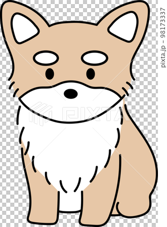 ほっこりかわいい横向きのチワワ 98173337