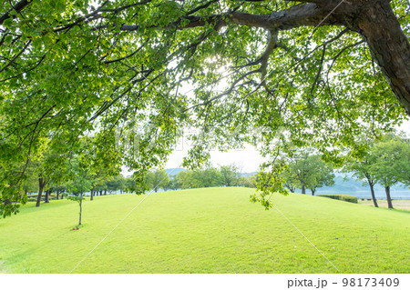 緑のある公園 緑のある公園 98173409