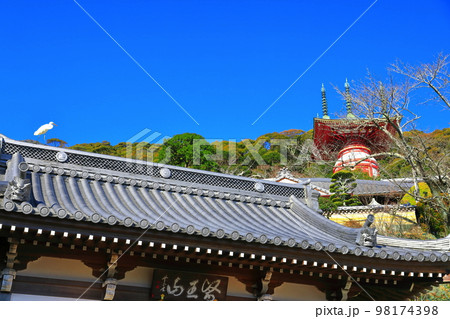 【徳島県】晴天の薬王寺の瑜祇塔と仁王門（日和佐） 98174398