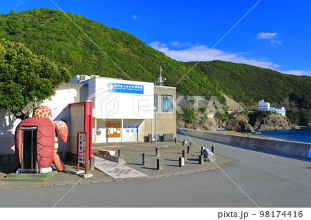 【徳島県】日和佐うみがめ博物館カレッタ（大浜海岸） 98174416