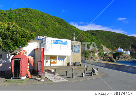 【徳島県】日和佐うみがめ博物館カレッタ（大浜海岸） 98174417