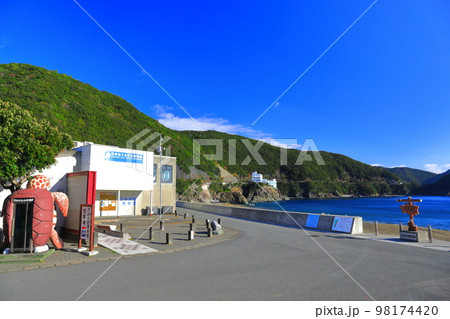 【徳島県】日和佐うみがめ博物館カレッタ（大浜海岸） 98174420