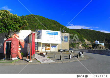 【徳島県】日和佐うみがめ博物館カレッタ（大浜海岸） 98174421