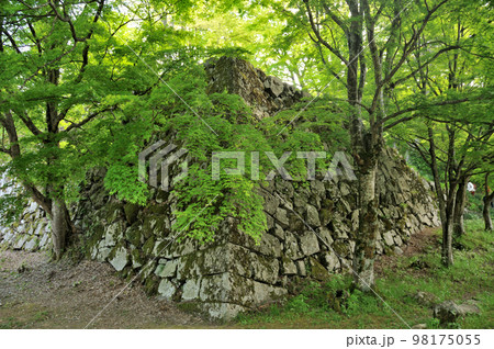 津和野城跡 【島根県鹿足郡津和野町】 津和野城跡 【島根県鹿足郡津和野町】 98175055