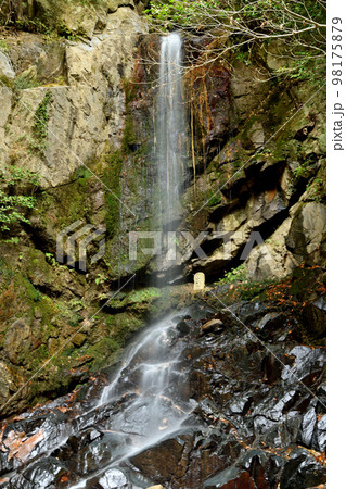 桃尾の滝　【奈良県天理市】 98175879