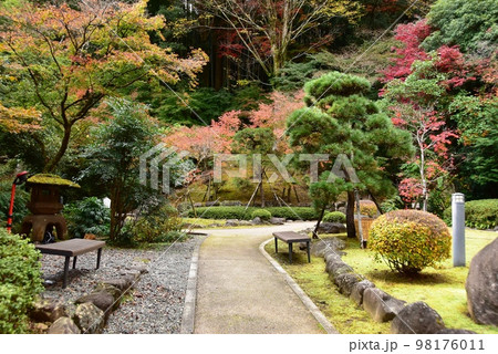 湯河原町　町立湯河原美術館の庭園散策路と紅葉 98176011