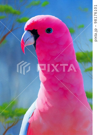Funny adorable portrait headshot of cute galah bird. Australian flying animal standing facing front. Looking to camera. Watercolor imitation illustration. AI generated vertical artistic poster. Funny adorable portrait headshot of cute galah bird. Australian flying animal standing facing front. Looking to camera. Watercolor imitation illustration. AI generated vertical artistic poster. 98176101