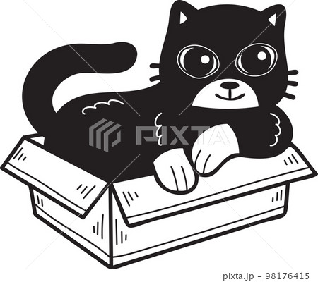 Hand Drawn cat in box illustration in doodle style 98176415