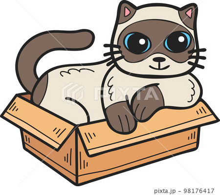 Hand Drawn cat in box illustration in doodle style 98176417