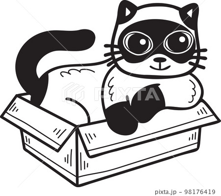 Hand Drawn cat in box illustration in doodle style 98176419