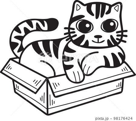 Hand Drawn striped cat in box illustration in doodle style 98176424