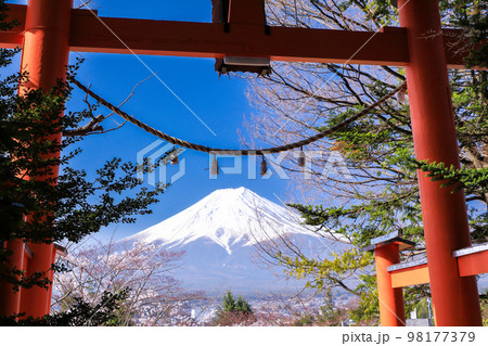 新倉山浅間神社鳥居からの富士山 新倉山浅間神社鳥居からの富士山 98177379