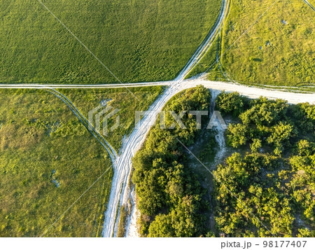 Aerial view on green wheat field and road in countryside. Field of wheat blowing in the wind on sunset. Young and green Spikelets. Ears of barley crop in nature. Agronomy, industry and food production 98177407