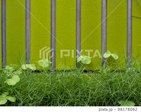 Green wall with straight stripes and grass. 98178062