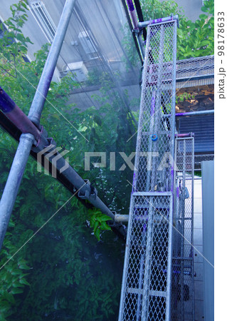 戸建て住宅の外壁塗装　屋根塗装　現場　足場の組まれた家　塗装工事　足場　住宅工事の様子　養生 98178633