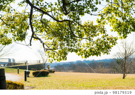 公園 葉 素材 イメージ 公園 葉 素材 イメージ 98179319