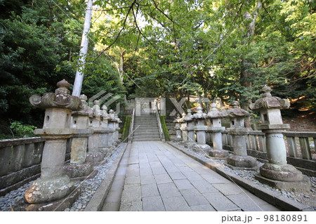 久能山東照宮　静岡県 98180891