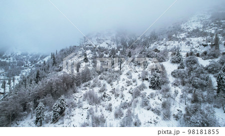 Cable car in the mountains in the winter forest 98181855