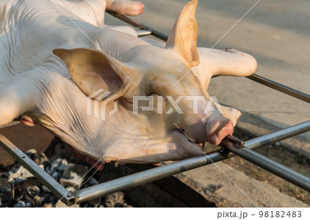 traditional roast suckling pig at countryside. Suckling pig on the stove while roasting. 98182483