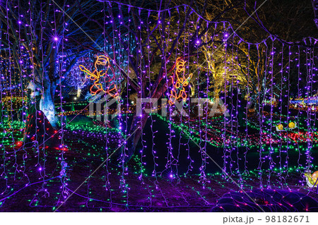 曽木の滝公園イルミネーション 曽木の滝公園イルミネーション 98182671