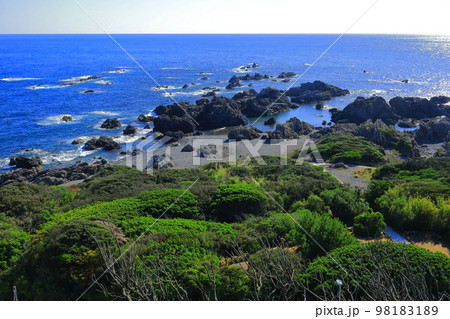 【高知県】室戸岬と太平洋（灌頂ヶ浜　月見ヶ浜） 98183189