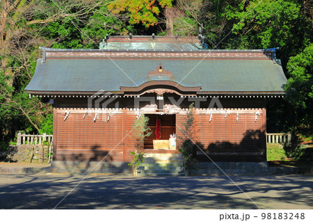 【高知県】晴天の吉良川の琴平神社 【高知県】晴天の吉良川の琴平神社 98183248