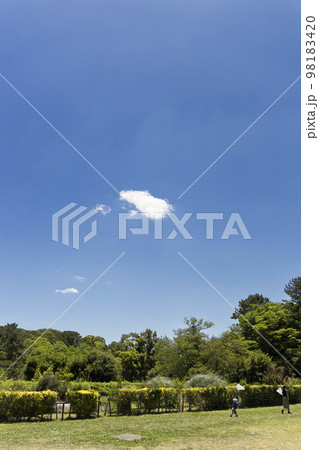 初夏の公園、虫取り姉弟と快晴の空風景 初夏の公園、虫取り姉弟と快晴の空風景 98183420